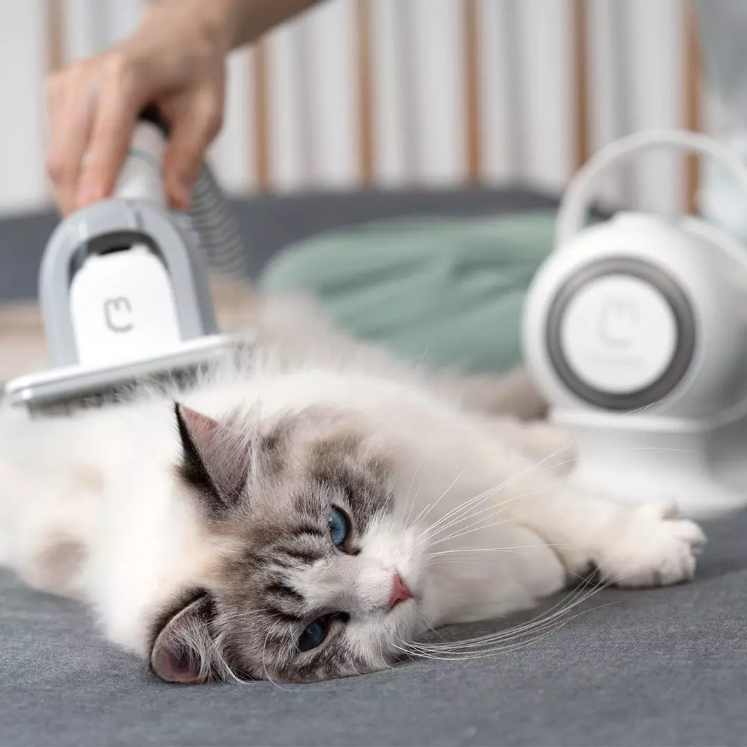 Smart Grooming Tool with Hair Sucker for Pets