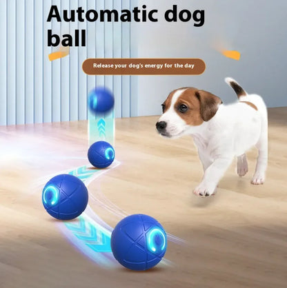 Smart Interactive Pet Teaser Toy