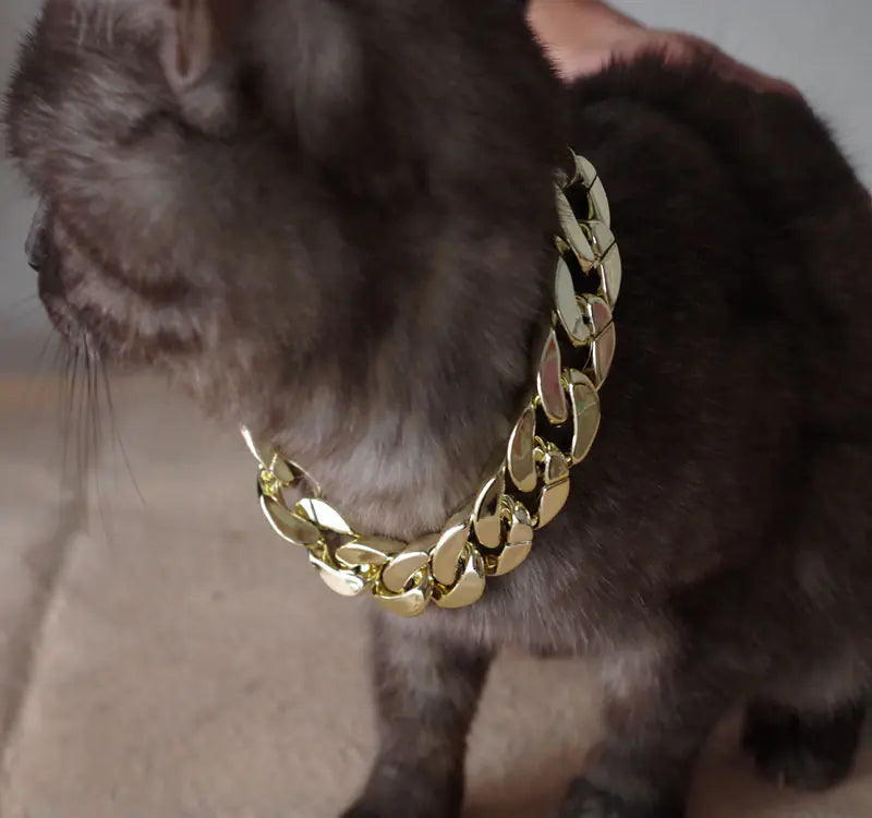 Gold Chain for Pets