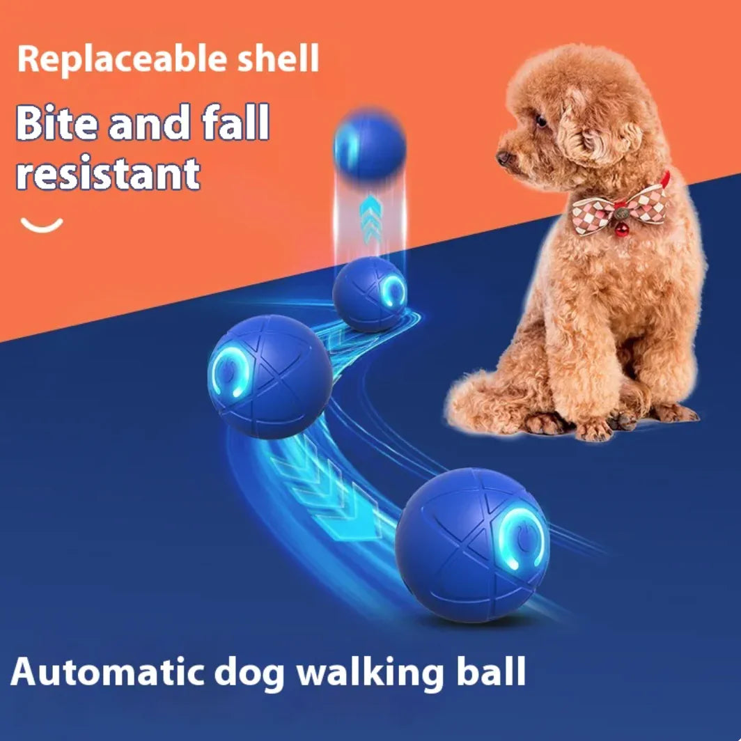 Smart Interactive Pet Teaser Toy