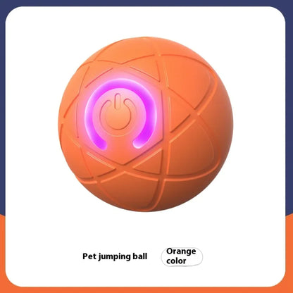 Smart Interactive Pet Teaser Toy