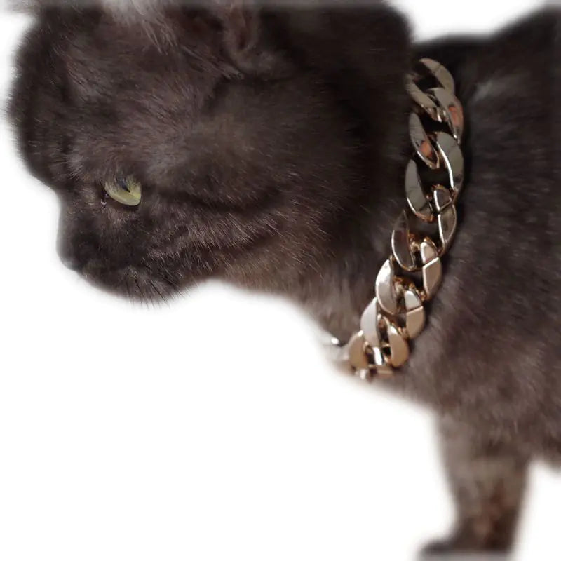 Gold Chain for Pets