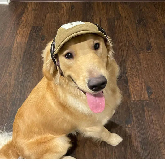Breathable Sunscreen Hat for Dogs
