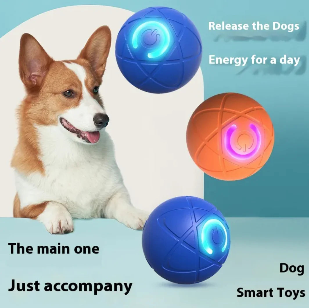 Smart Interactive Pet Teaser Toy
